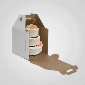 Custom Kraft Carrier Boxes